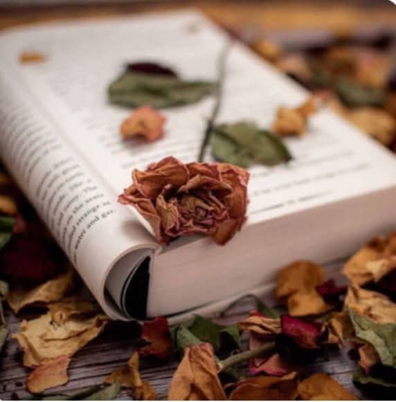 Bir de yaşayarak öğreneceğin
şeyler var şu hayatta..
Herşeyi okuyarak öğrenemiyor insan..