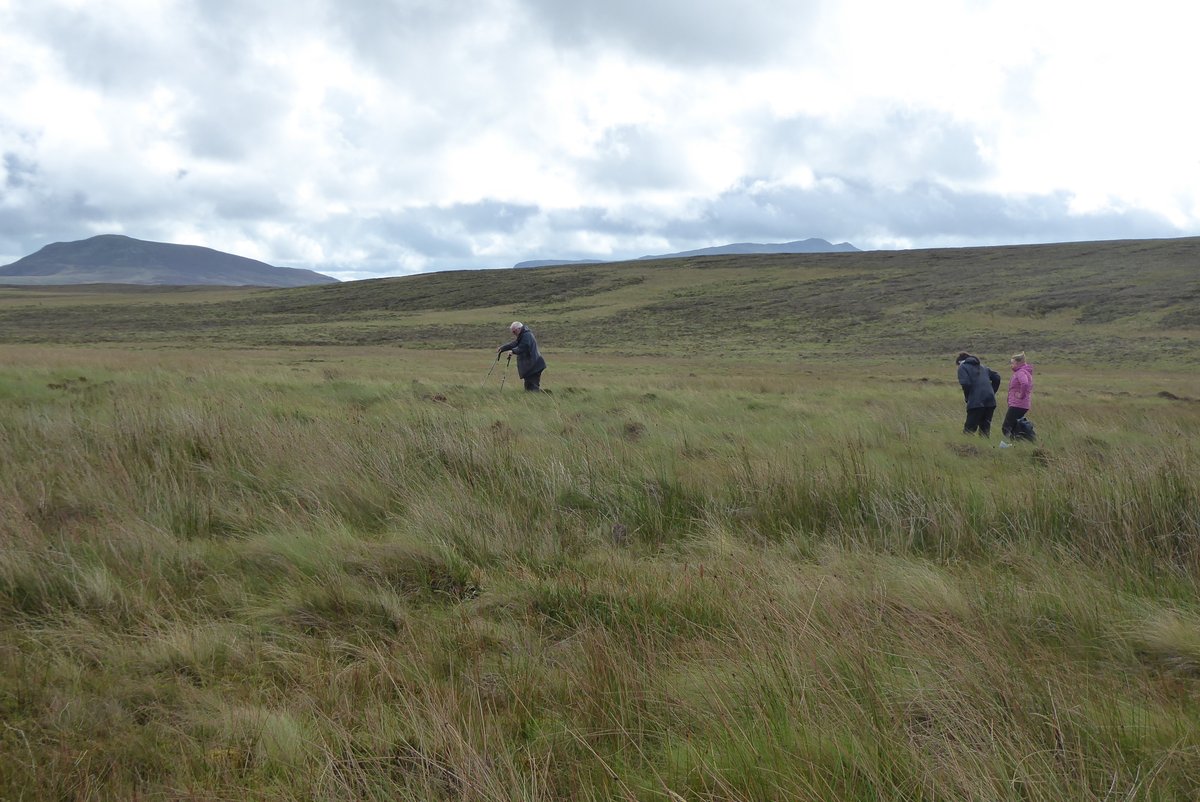 Mike Peacock (@mikepeacock86) on Twitter photo A successful day coring two sites on the Migneint blanket bog in North Wales with <a href="/LauraBaugh94/">Laura Baugh</a>, <a href="/rchiverrell/">Rich Chiverrell</a> & undergrad Teleri. We'll analyse the cores for geochemistry (via XRF) and organic matter composition (infrared spectrometry). #PeatTwitter A successful day coring two sites on the Migneint blanket bog in North Wales with <a href="/LauraBaugh94/">Laura Baugh</a>, <a href="/rchiverrell/">Rich Chiverrell</a> & undergrad Teleri. We'll analyse the cores for geochemistry (via XRF) and organic matter composition (infrared spectrometry). #PeatTwitter