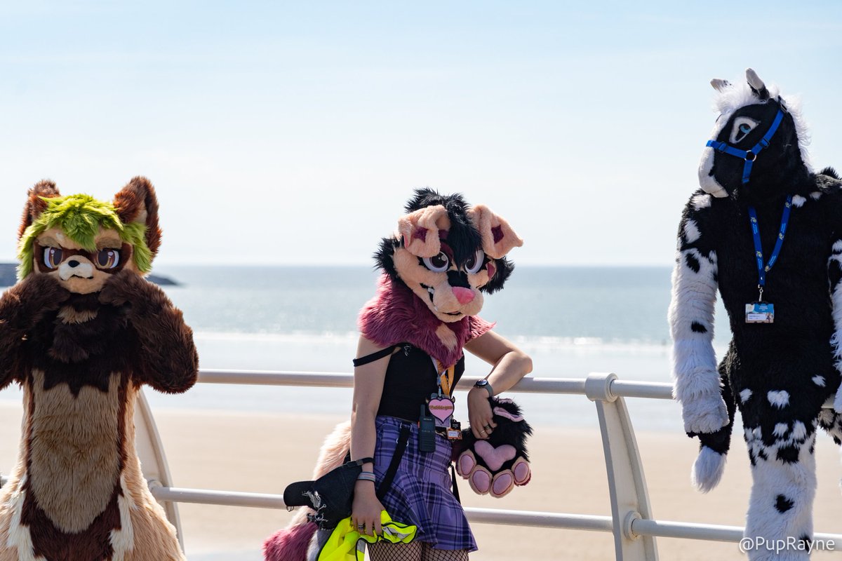 This Dog had a lovely time <a href="/Aberacon/">Aberacon</a> a couple weeks back. She was mostly behind the sound and lighting desks for the whole weekend but it was nice to go on a lovely walk with everyone.

#FursuitFriday
📸 <a href="/PupRayne/">PupRayne</a>
