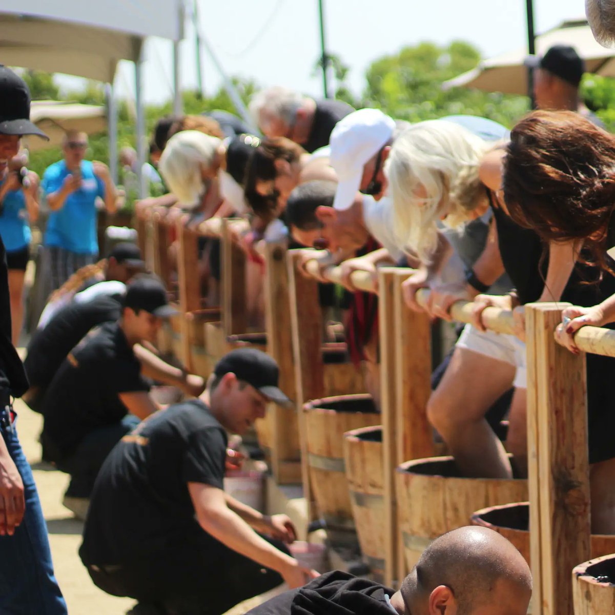 By popular demand, we've added a SECOND Grape Stomp date! Join us September 28th to enjoy a family-style lunch among our stunning vineyards, sip our finest wines, then kick off your shoes and stomp your way to glory! Teams compete, juice is measured, and champions are crowned