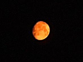 I've read there's supposed to be a Blood Moon this month, but currently where I live, that's not the only thing turning it red. 
Wildfire smoke appears a greyish haze by day, but at night the moon shines through in colors of the flames, making it a Fire Moon.