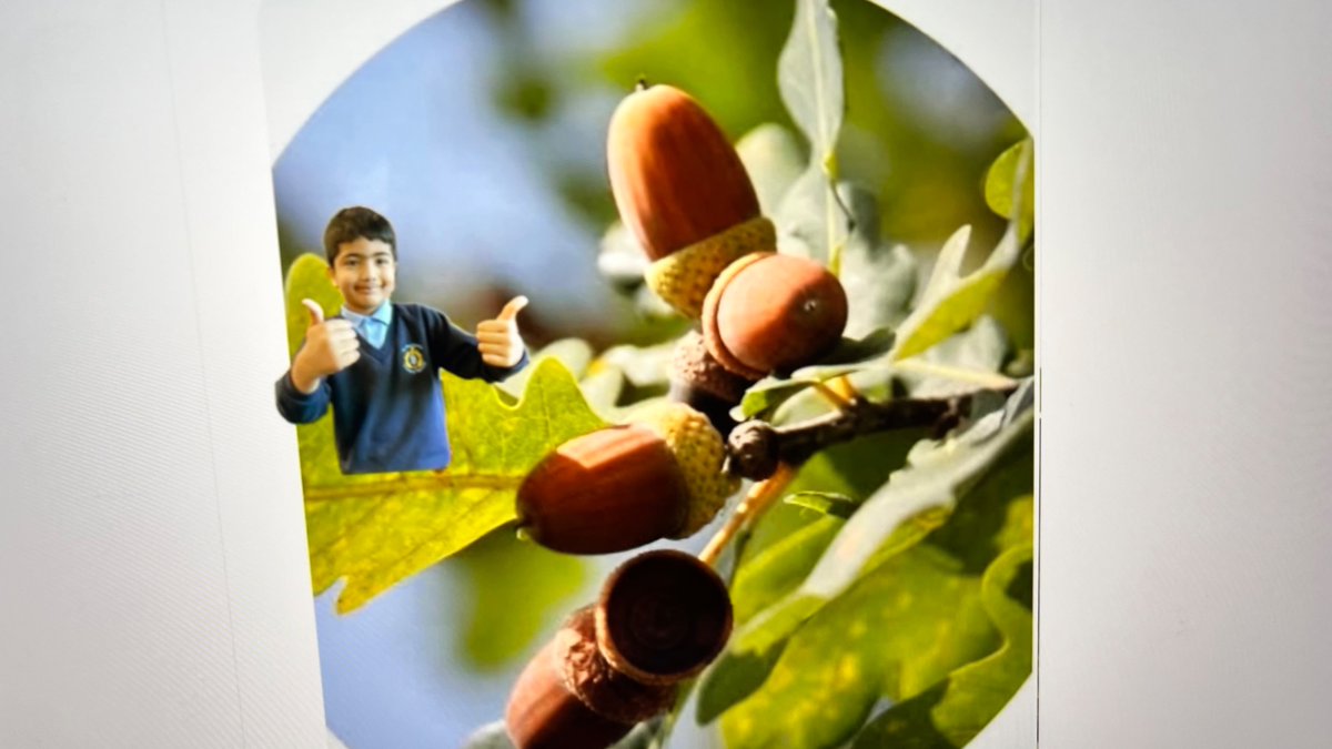 StBernardsPS's tweet image. 👋 Welcome to our new P4 Digital Pupil Action Team members! 🌟
We kicked off our first meeting with Everyone Can Create — photo collages using stickers &amp;amp; markup 🎨📸💻
#DigitalLeaders @AppleEDU  #EveryoneCanCreate
@DL_for_All