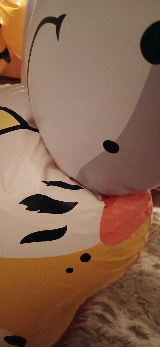 skyeedog80's tweet photo. The girls have finally been reunited, pumpkin and vanilla are a total autumn and winter couple 🥰🥰#inflatable #squeaks #pooltoy #horseplaytoys https://t.co/51qvrRZob3