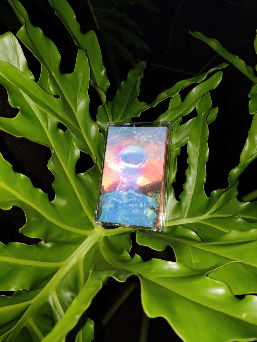 RESTOCKS

desert sand feels warm at night (<a href="/desertsandvapor/">desert sand feels warm at night</a>) - 溺死: 3
猫 シ Corp. (<a href="/catsystemcorp/">猫 シ Corp.</a>) - The Future is Here: 3
Shifala - Bathed in Skylight: 6
Thetamax - Interdimensional Dream Entity: 3

shatterfoilindustries.bandcamp.com/merch