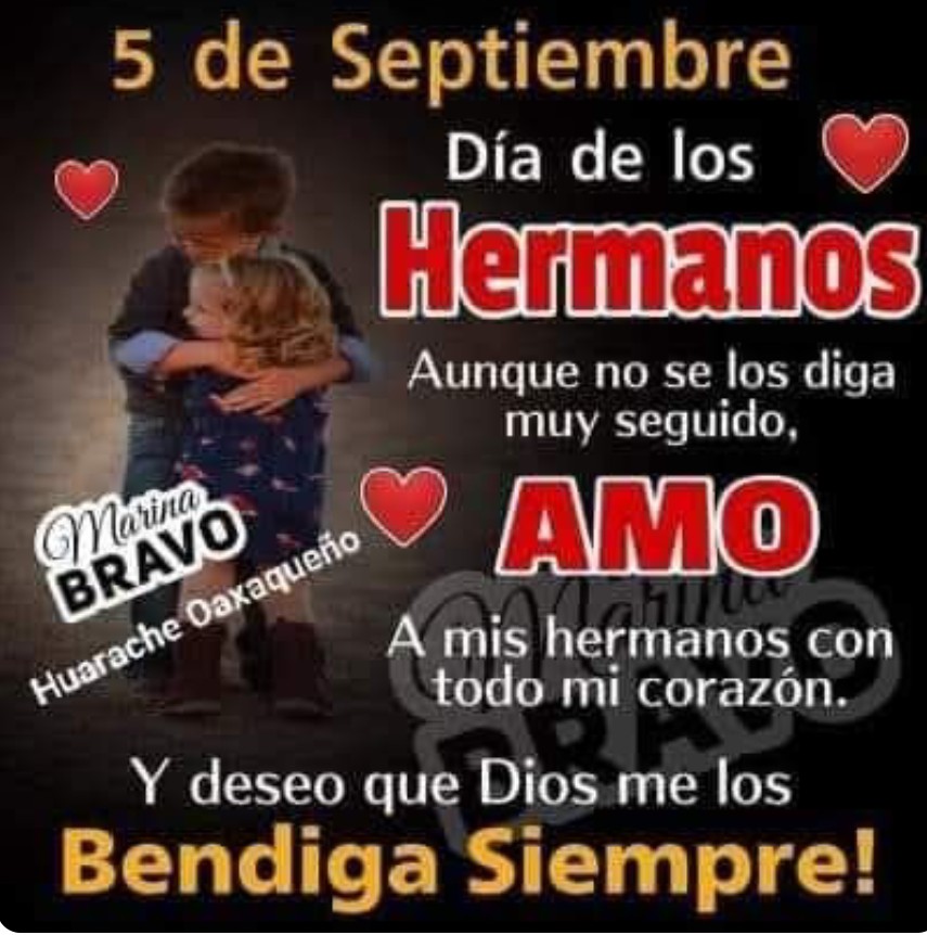 A mis hermanos Ricardo, Rosario, Alejandro, Alma, Carmen y Magda. Con todo mi cariño. Buen Día