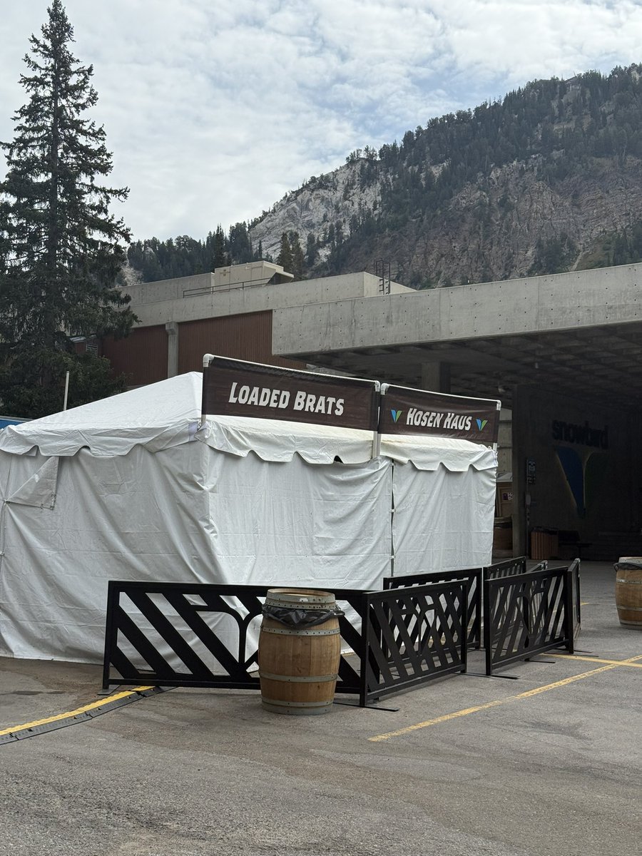 Tom McConnon tweet media