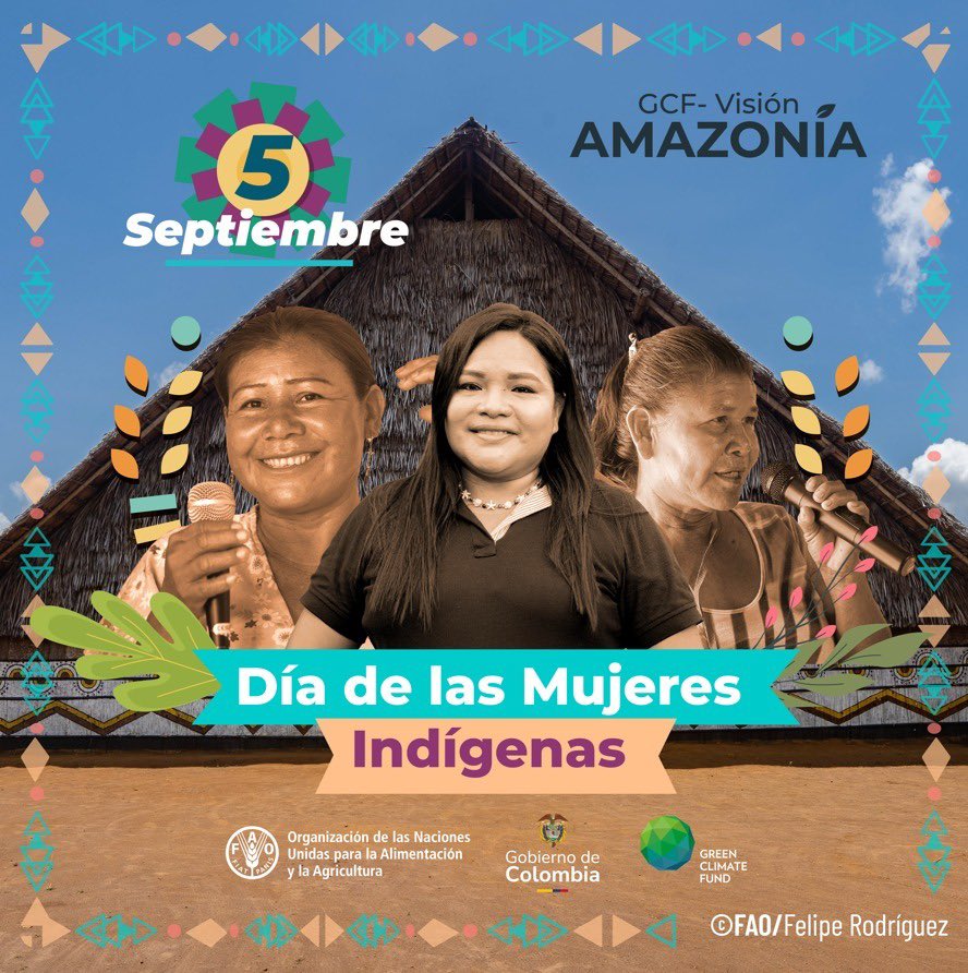 FAO_Colombia's tweet photo. 💪Día Internacional de las #MujeresIndígenas
Su liderazgo sostiene la vida: cuida territorio y saberes, une comunidades y abre caminos de igualdad. 
Galería fotográfica de la #CPLI al Programa Visión Amazonía apoyada por el proyecto #GCFVisiónAmazonía
📸👉https://t.co/jLlljXIeqL https://t.co/P7PJHjtiwQ