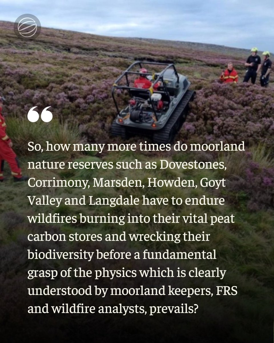 Scribehound Countryside tweet media