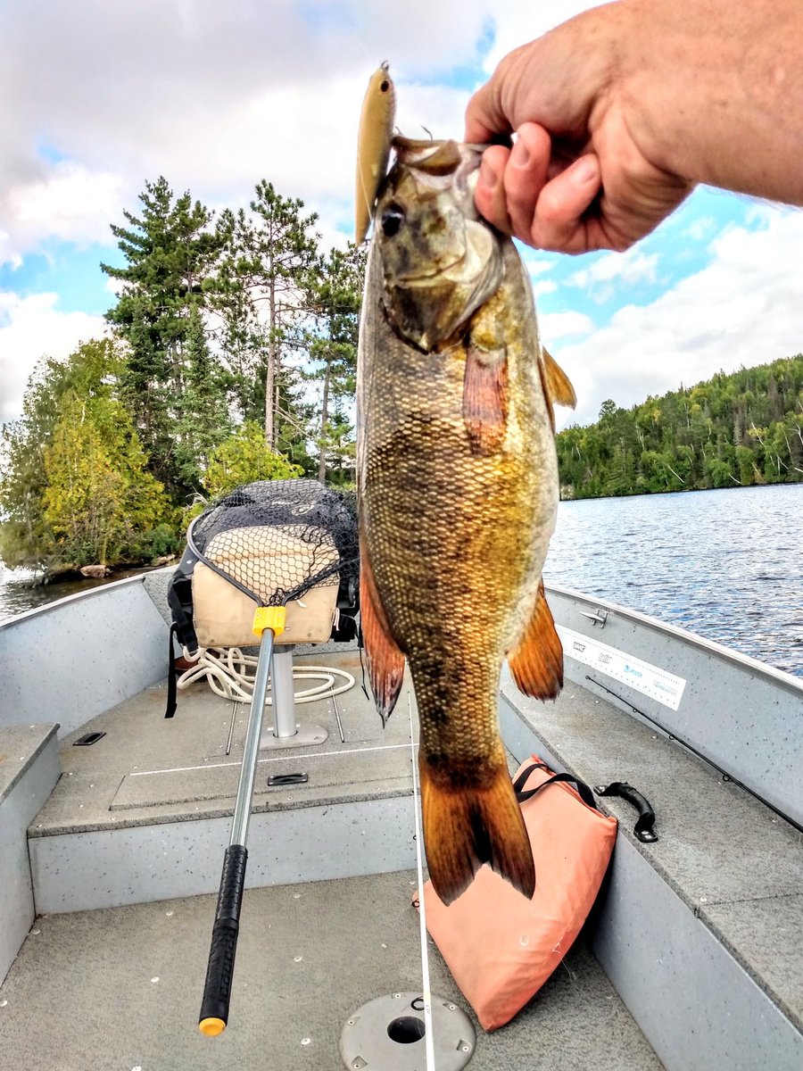 LuckyCraftUSA1's tweet photo. “With a tinge of fall in the air, the top water bite is picking up. Running to multiple islands and walking back the Sammy 100 in Bone Shad made for some great afternoon fishing action.”-Jim W. Harding #Sammy100 #BoneShad #LuckyCraft https://t.co/EyzHxmdjML