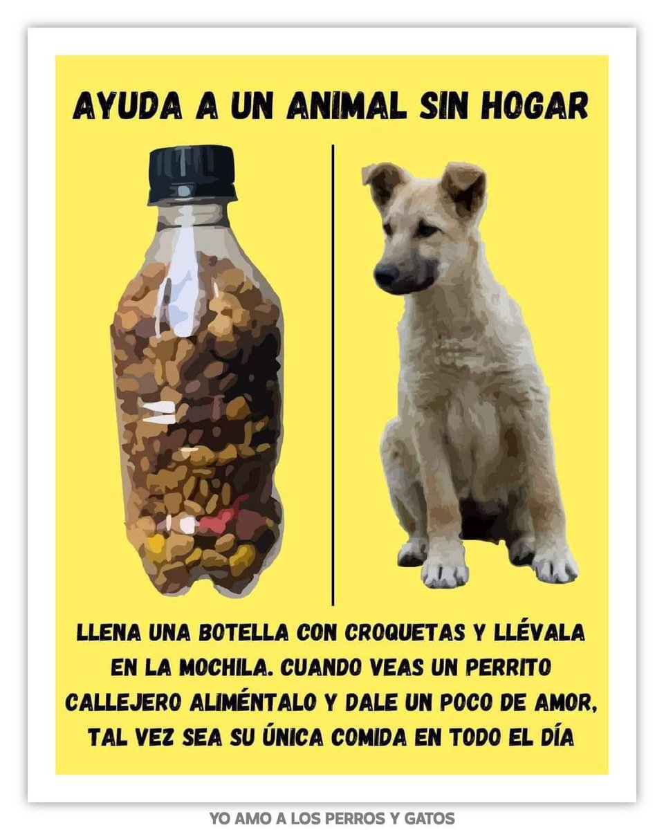 Perrosenlacalle's tweet image. Únete a esta gran iniciativa 😍🙏🐾🐾