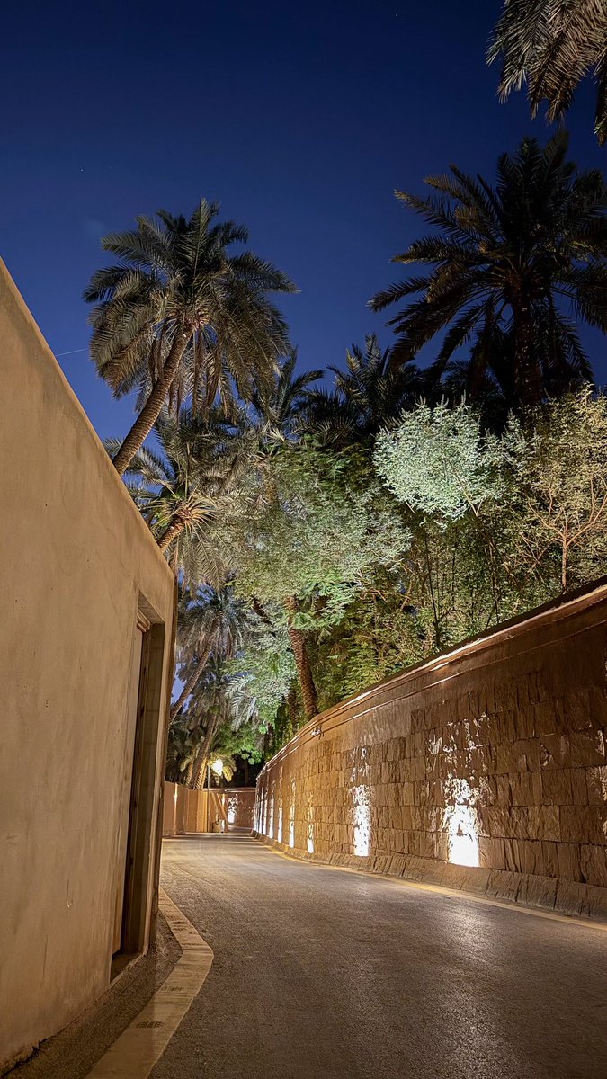 في خدها قمَر وفي عينها ليّل 🖤.