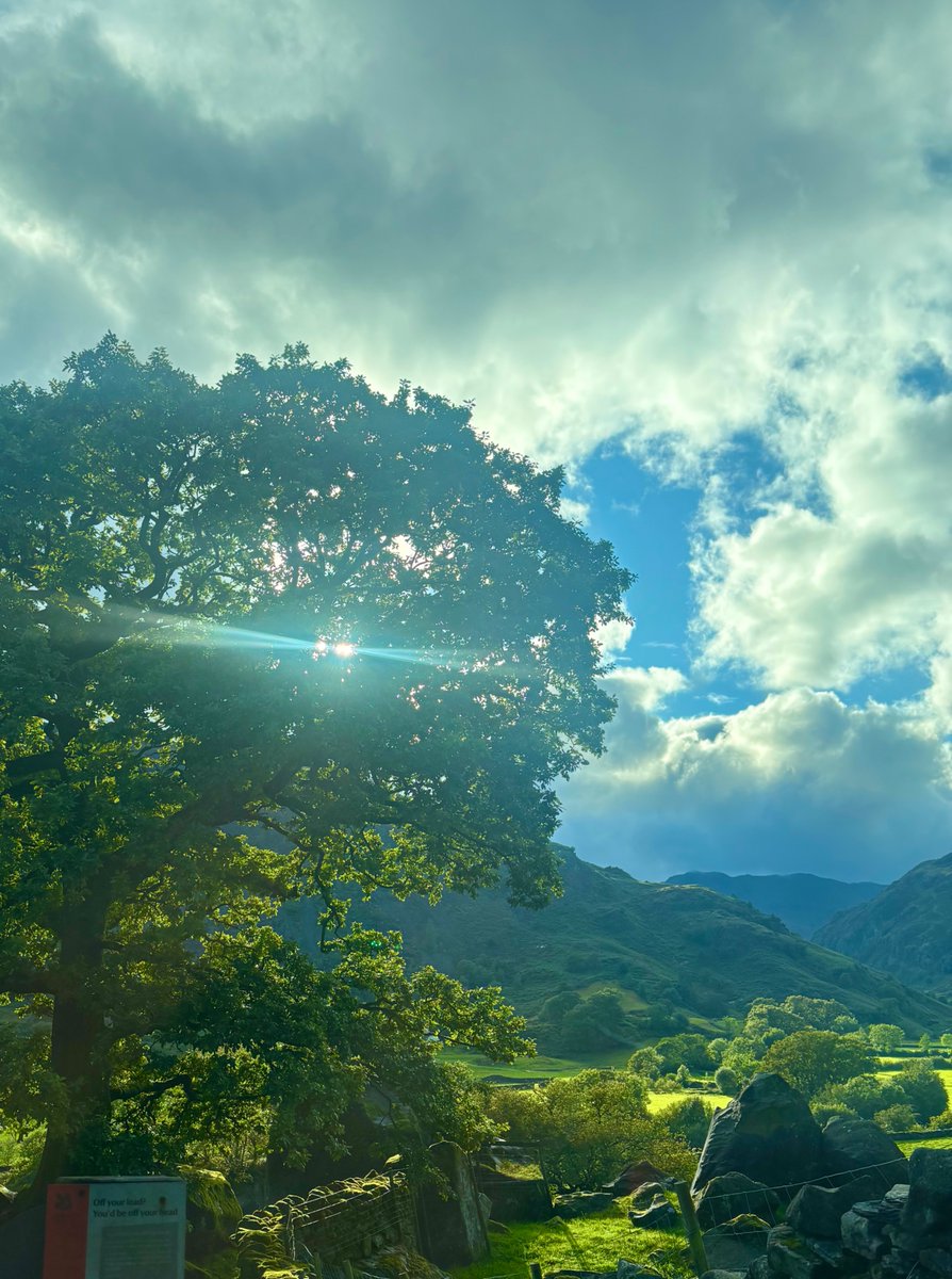 Five days. 260 miles driven. 40 pubs visited. 50 half-pints drunk and evaluated. It’s not easy. If it was, it wouldn't be work. The Lake District is a tricky place to get around, but I’ve now got my eight best pubs there and you can read about them in <a href="/thetimes/">The Times and The Sunday Times</a> on 5th October.