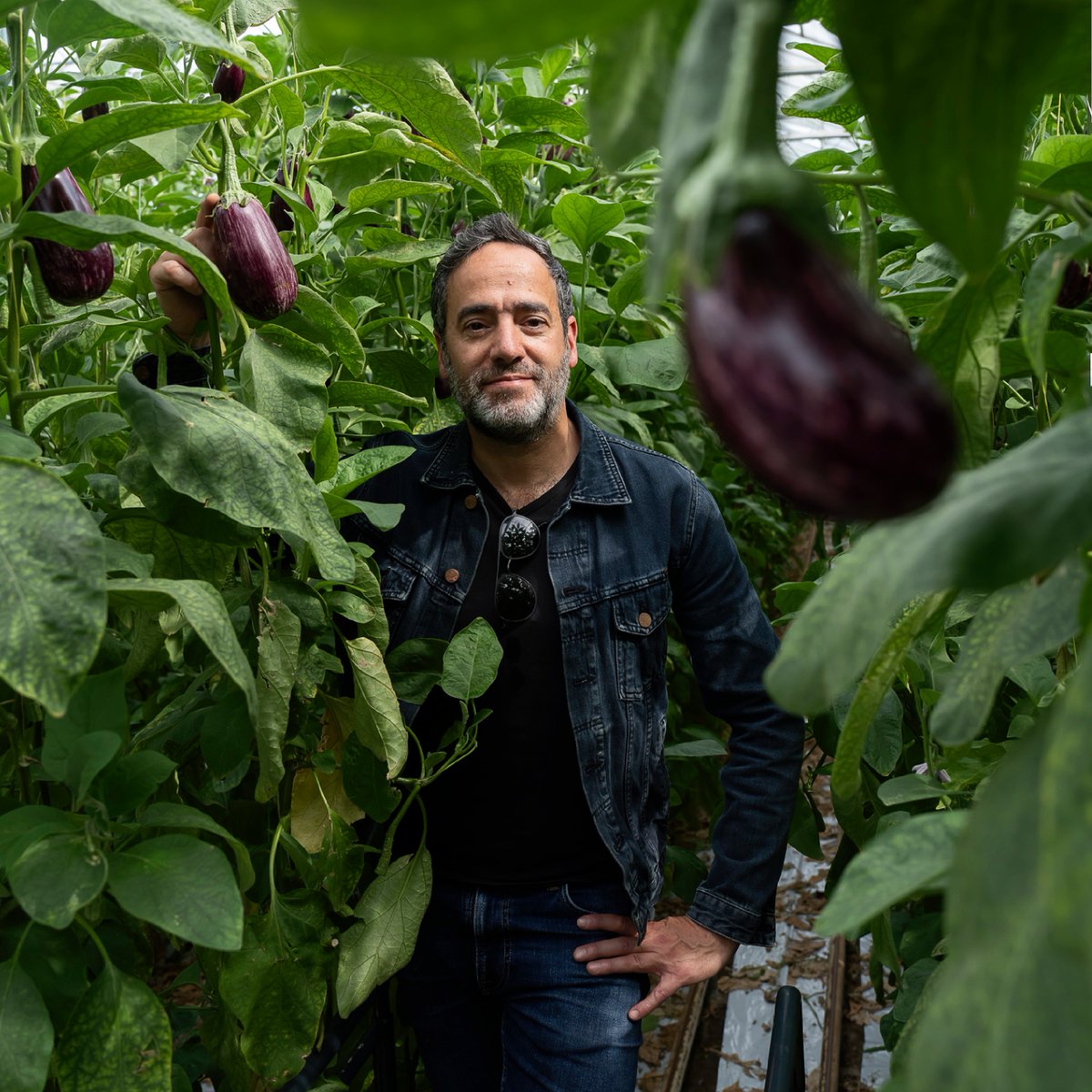 Jigal Krant tweet media