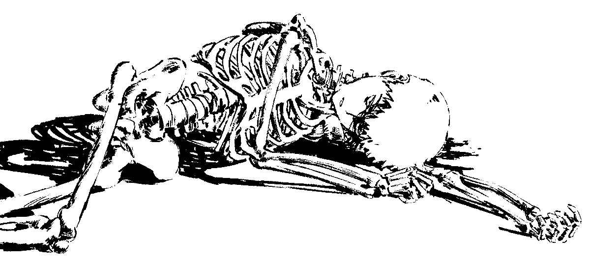 Laith Raiحan (@laithrai7an) on Twitter photo 