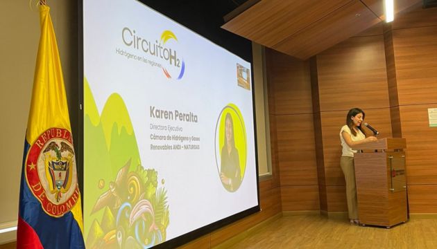 Colombia cuenta con 36 proyectos de hidrógeno en desarrollo, Barranquilla con gran potencial

<a href="/HidrogenoAndNat/">Hidrógeno y Gases Renovables ANDI NATURGAS</a> 
elnorte.com.co/colombia-cuent…