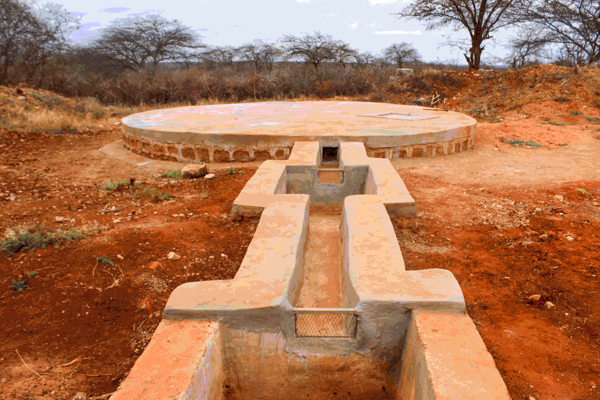 ECFF - Environment and Coffee Forest Forum tweet media