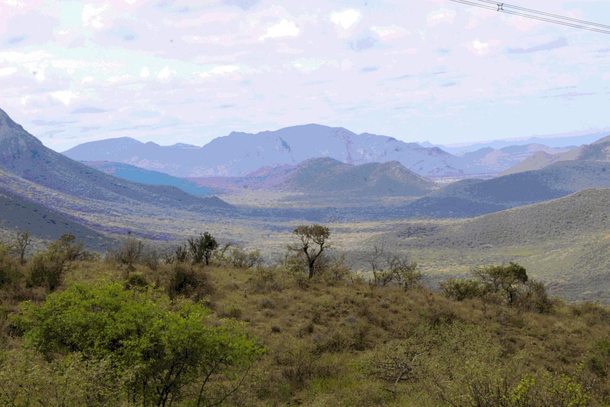 ECFF - Environment and Coffee Forest Forum tweet media