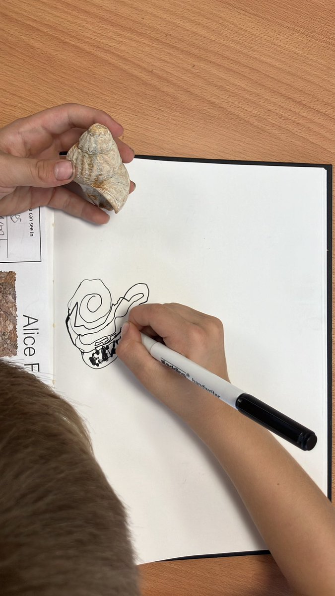 latimerprimary's tweet image. Class AB are working hard to undertake a continual drawing. This is an exercise to support with observation and recording what can be seen focusing on details and shape. #latimerart #classab