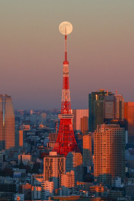 Full Moon over Tokyo