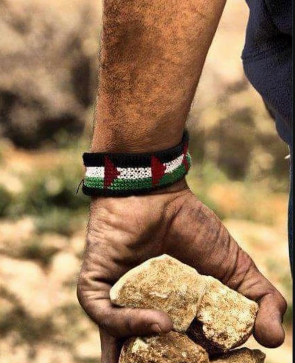 "Dedi ki; sen şairsin elindeki bu taş ne?,
Dedim ki; şair aşka boyun eğer,zulme değil!..."
Cahit Zarifoglu