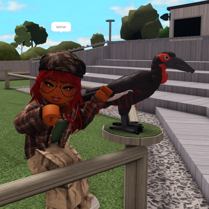 🌸 Kayotic 🌸 tweet media