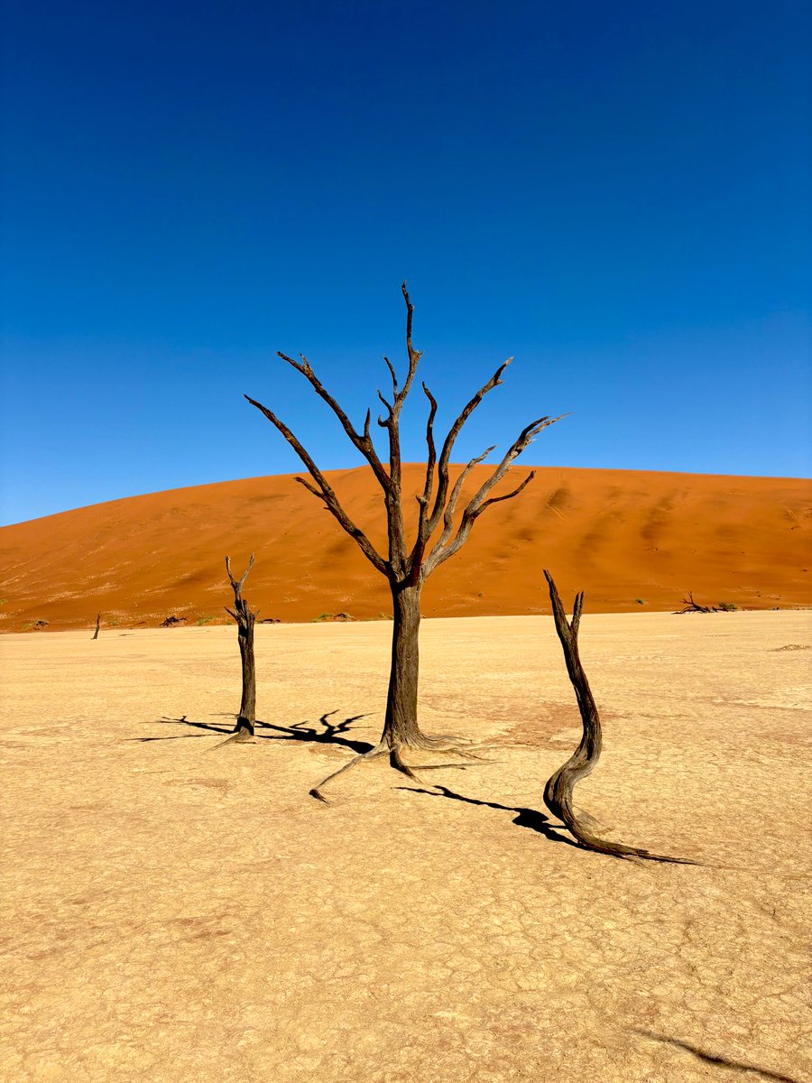 Soso 🇧🇷 tweet media