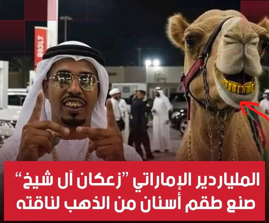 Adelalhasanii's tweet image. إنجاز #اماراتي جديد