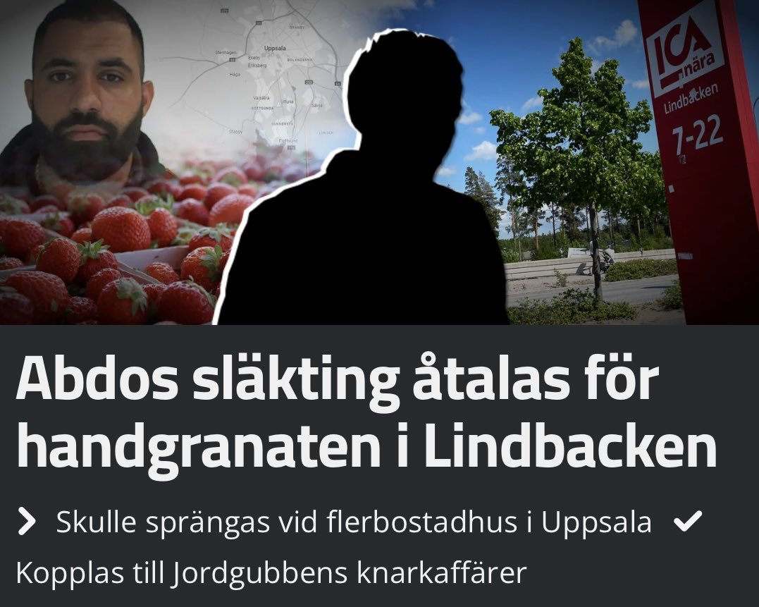 Jordgubbens släkting misstänkt för ha planerat att en handgranat-attack mot en adress i Uppsala. En 14-åring greps med handgranaten innan dådet. Släktingen åtalas även för grovt narkotikabrott. I ett kassaskåp på en företagsadress i Uppsala hittade polisen över en miljon svenska