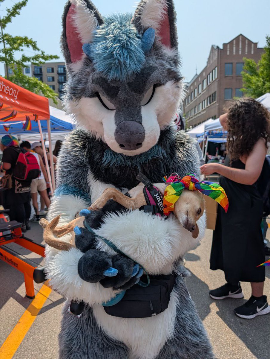 biteyrix's tweet image. just two dogs #FursuitFriday