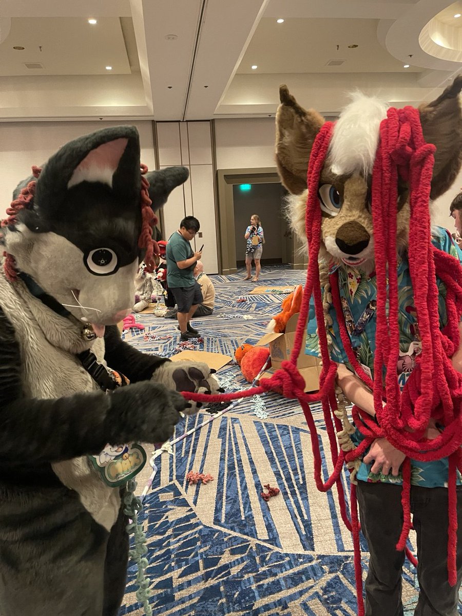 don't leave your cats unattended or this might happen #FursuitFriday