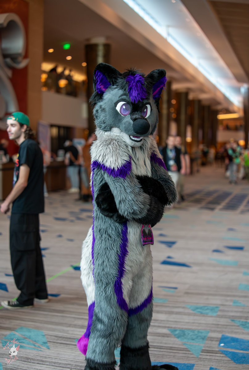 Valckan 🔜 FWA (@valckan) on Twitter photo All business. 
#FursuitFriday
📸 <a href="/ArcticWindPhoto/">Arctic Winds Photos</a> 
🪡 <a href="/Fullmoonspecial/">✨Full Moon Special✨</a> All business. 
#FursuitFriday
📸 <a href="/ArcticWindPhoto/">Arctic Winds Photos</a> 
🪡 <a href="/Fullmoonspecial/">✨Full Moon Special✨</a>