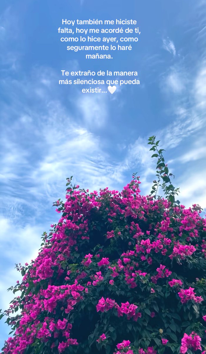 MacaGutierrez7's tweet photo. https://t.co/zW608rfHNX