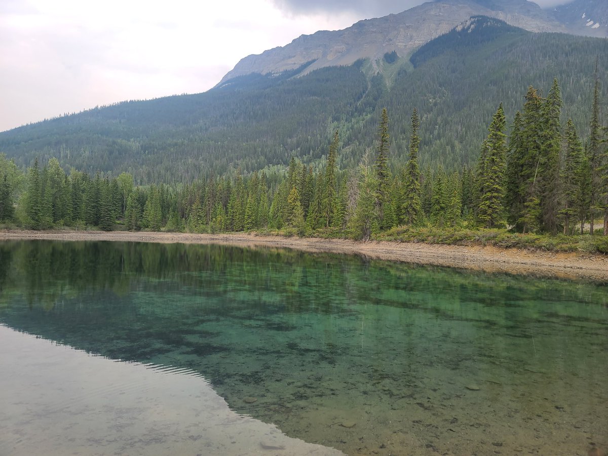 Capra (@nasawater_) on Twitter photo 