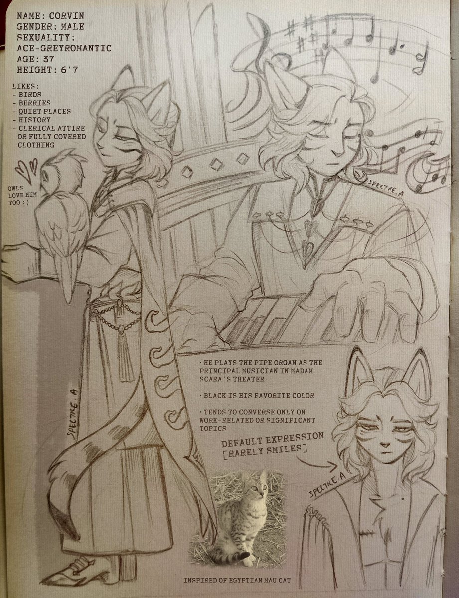 Have a sketch and mini info of Corvin teehee ₍ᐢ..ᐢ₎💛✨💛✨ 

#LackadaisyCats #LackadaisyOC #Lackaoc #Corvin #tradsketch #itsawipbtw