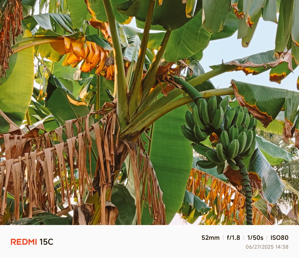 Dogorureh's tweet photo. #SeeBeyondWith15C

#natureview

@XiaomiNigeria https://t.co/VZzYvwDW7w