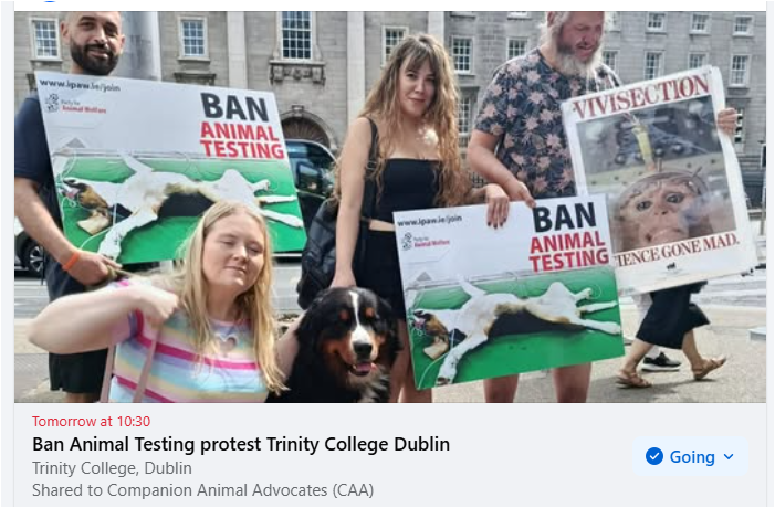 AnimalPartyIE's tweet photo. Our #BanAnimalLabTesting protest will resume tomorrow Saturday outside #TrinityCollege #Dublin from 1030am to 1230pm. We will be based on the plaza opposite the main gates. We will keep this protest up until this wicked practice comes to an end.
#BanAnimalTesting https://t.co/92YlTeM9fJ