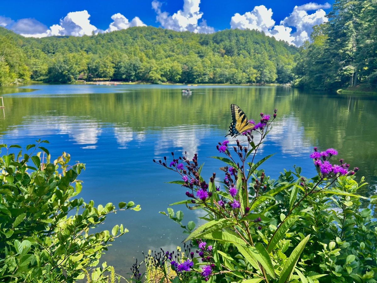 BillPerdue282's tweet photo. Lake Winfield Scott https://t.co/6p45jXlR8I