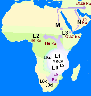 samued6r's tweet photo. @Recon1_ZA Lol all that text &amp; someone doesn't know how generational human offspring works.

SA natives have been an evolution of AFRICAN pygmy &amp; proto-agrarian for MILLENNIA.

THAT is the generational native lineage stock, by the tens of millions.

https://t.co/WnYhQb1VzQ https://t.co/pAkOdpdThx