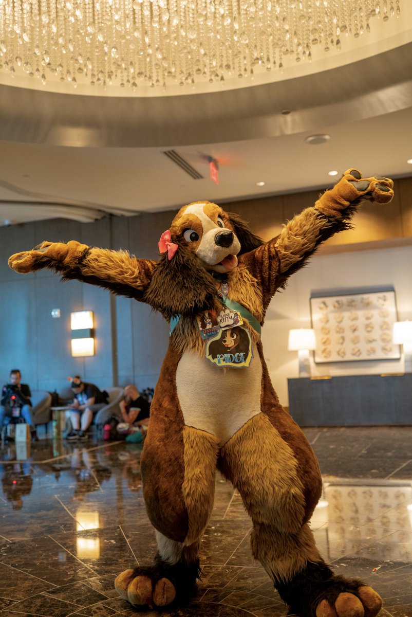 oh_pidge's tweet photo. Happy #FursuitFriday everyone! Wroof! It was really awesome to see so many of you at this year’s #megaplex !! See you next year! Awroooo!! https://t.co/iKgM4xYjow