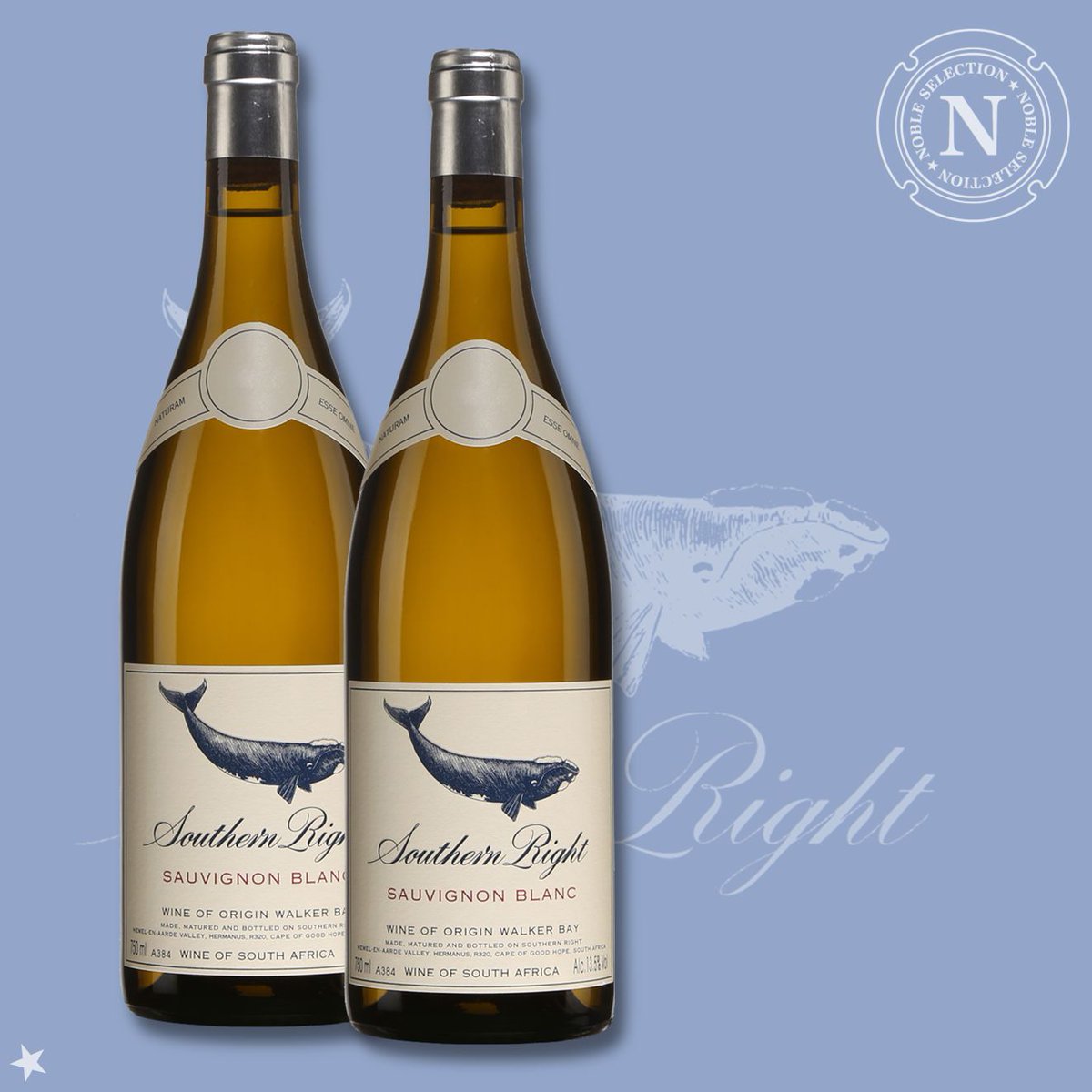 Southern Right Sauvignon blanc 2024 : L’Afrique du Sud en toute fraîcheur, disponible à  @LaSAQ_Officiel!
Belle salinité minérale suivie d'une finale longue et cristalline.
Disponible ici ⟶  saq.com/fr/14448746