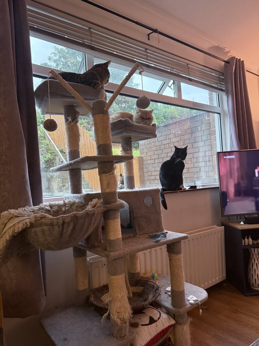 Look man servant the 7pm dinner bell went off 8 minutes ago