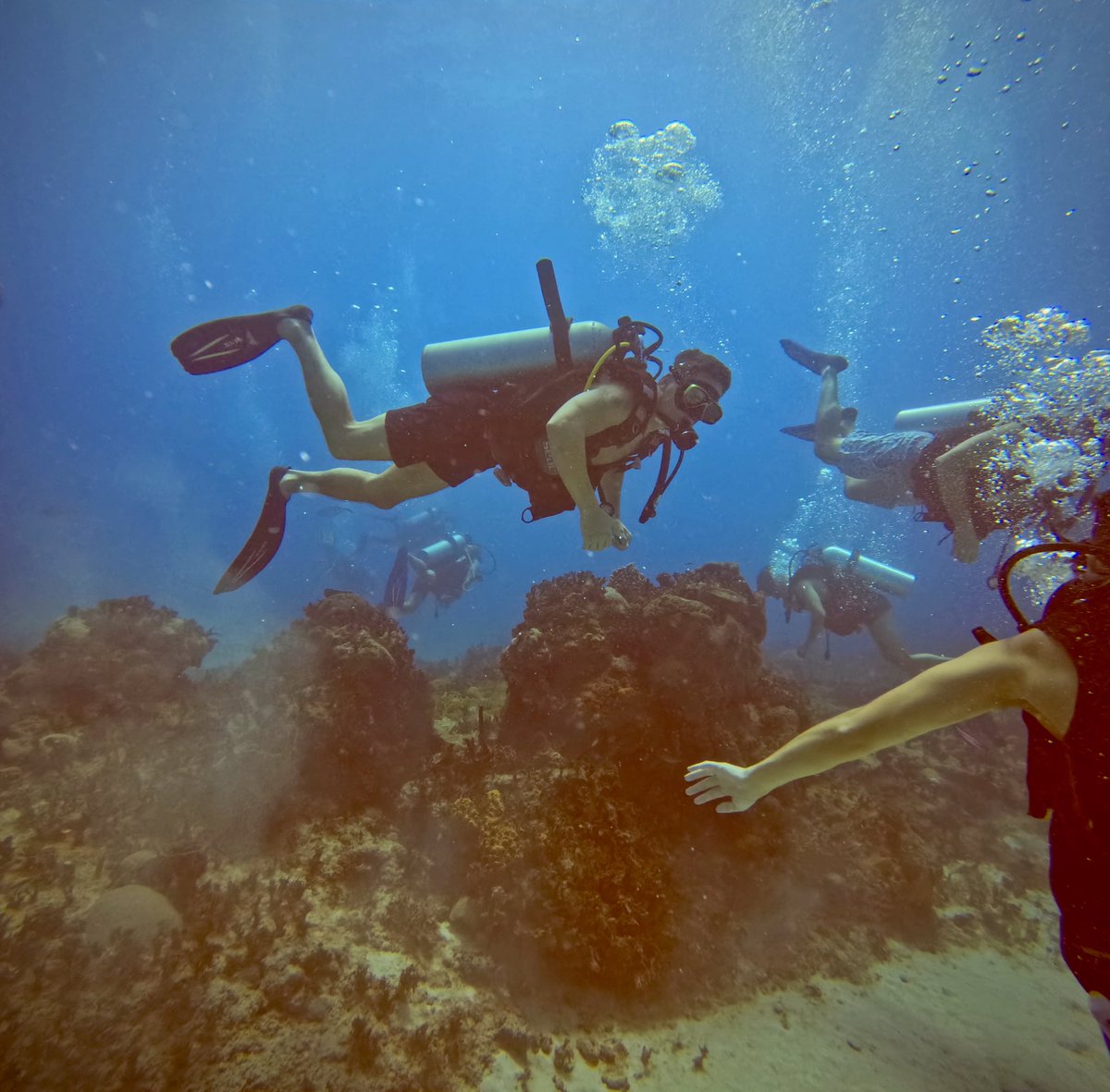 mike_manning_'s tweet image. We found it. 🐠💎🛳️

#scuba #titanic #ocean #diving