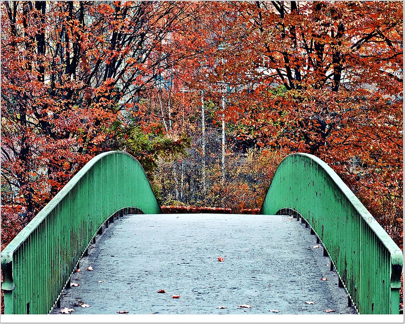 Let’s see your “Bridge” Photographs

#photographer 
#photography