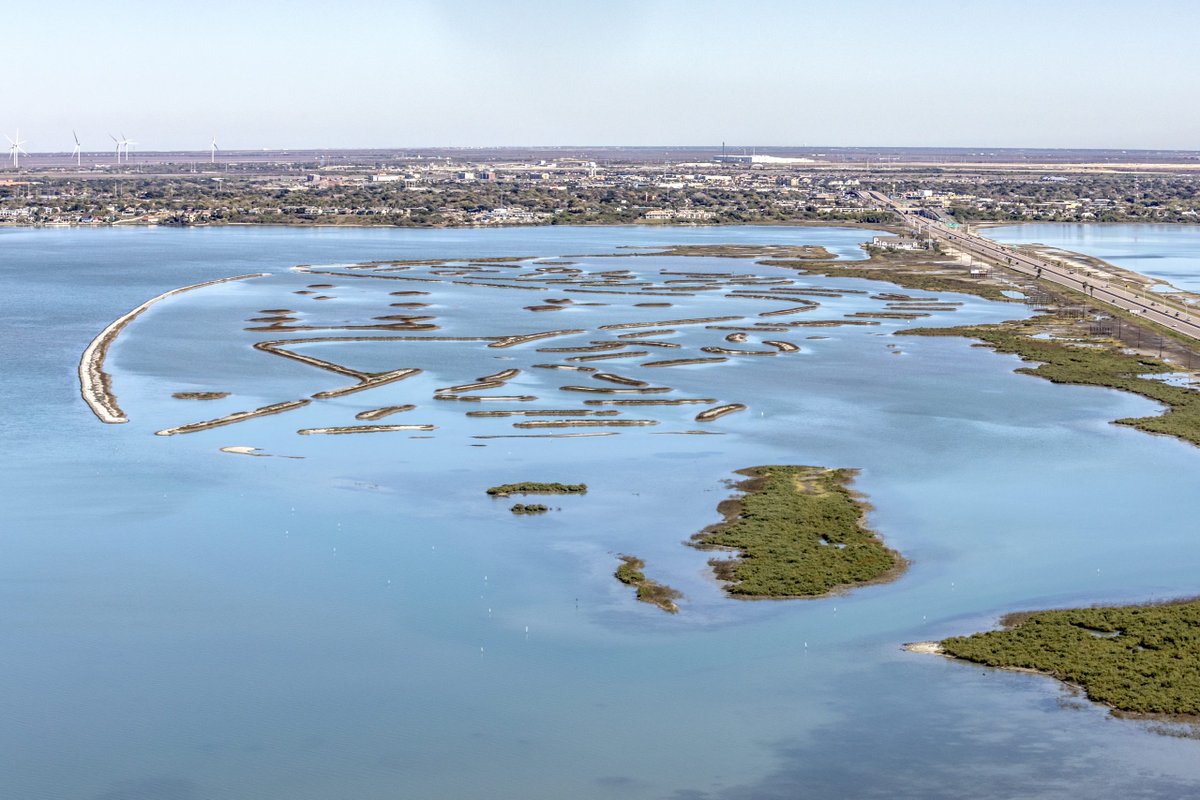 Today we're on the gulf coast to celebrate the 2025 Best Restored Shore awards with the Nueces Bay Marsh Restoration located in Corpus Christi, TX, an example of how long-term planning and building partnerships across many levels of stakeholders can produce a successful project.