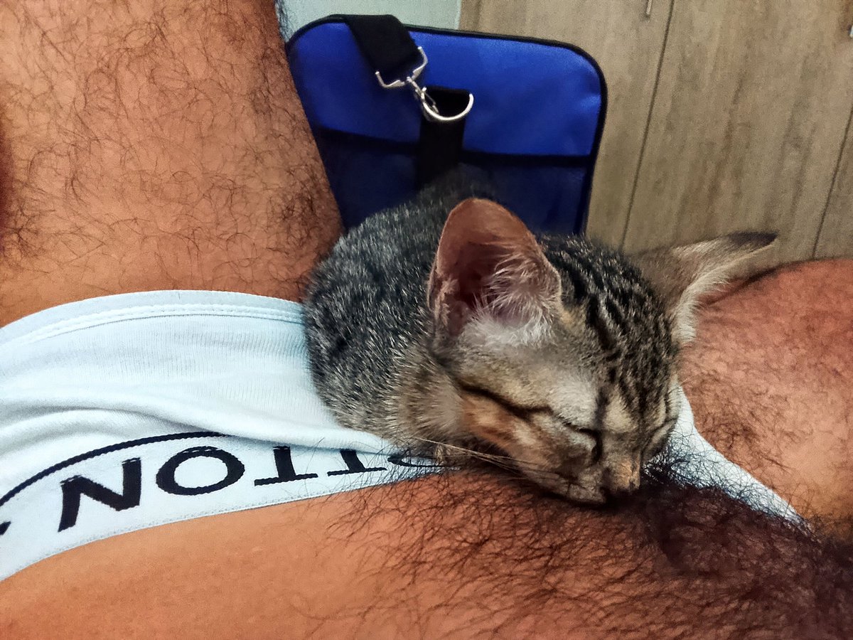 Quien para que se ponga así como la gatita . En medio de los huevitos.