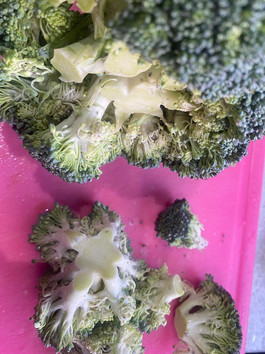 immycha's tweet photo. @AldiUK Just opened some broccoli I purchased from you and it’s full of little spiders. I can’t be bothered going back to the store to return it. https://t.co/olrc3Eo7Xy