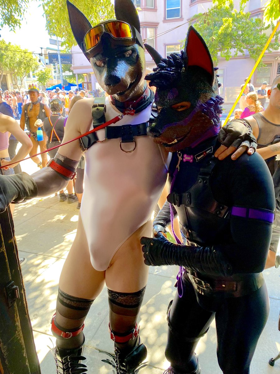 Dogging it up with <a href="/Pup_Leo/">Kory💜Miki💙Razz ➡️ AFC</a> #FursuitFriday