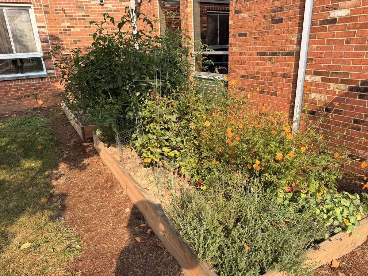 Laura Packert tweet media