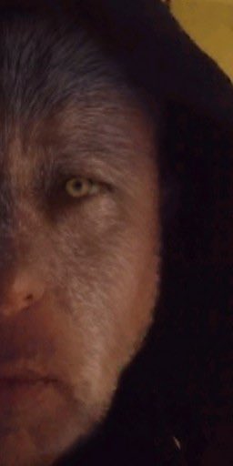 Wolf reflected, loping lone.