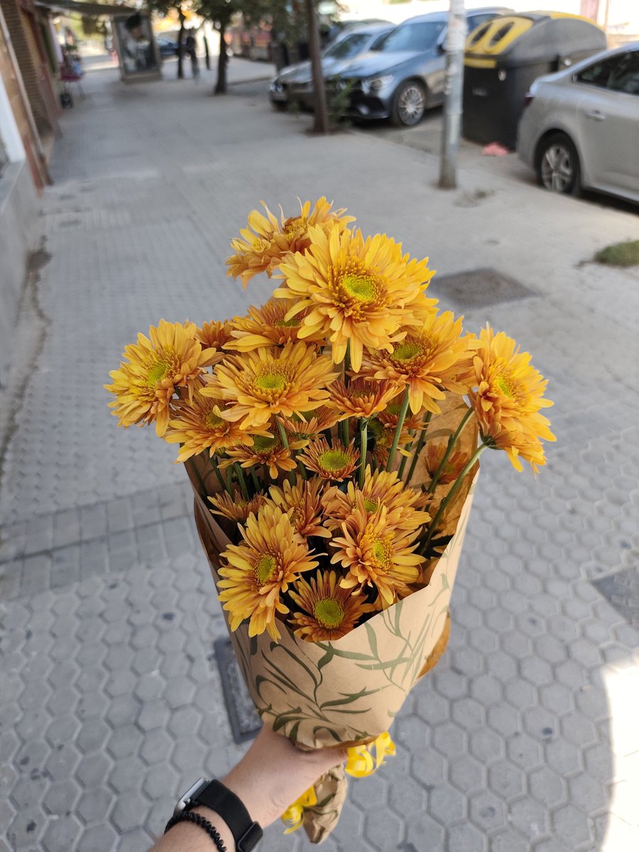 πlot♪ tweet media